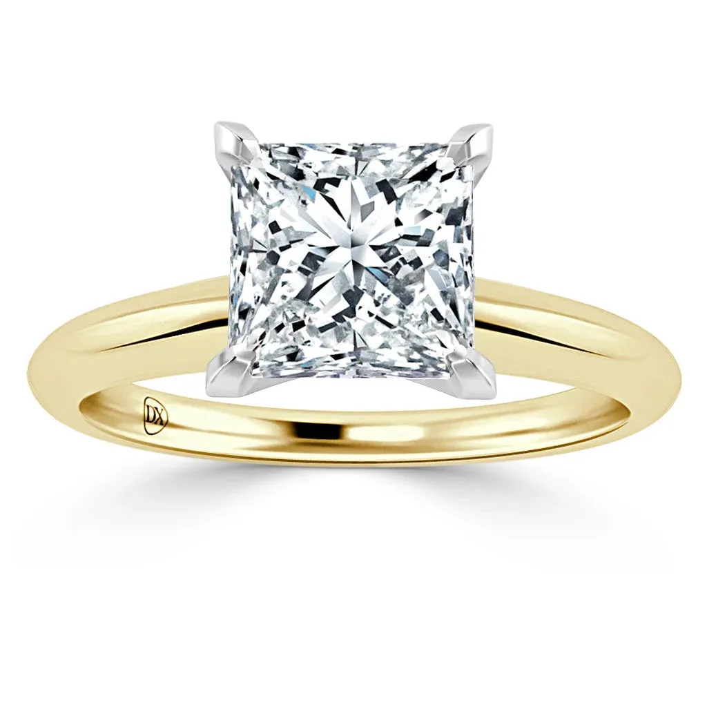 Isabel - 18ct Yellow Gold - Princess