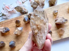 Natural Citrine Raw Points Congo || Kundalini Citrine